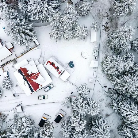 Kemping Beczki Pod Lasem Trzemeśnia