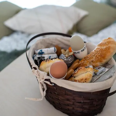 Kemping Beczki Pod Lasem