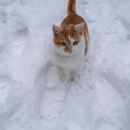 Kemping Beczki Pod Lasem Trzemeśnia