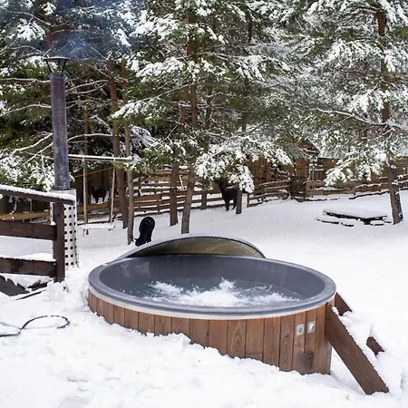 Kemping Beczki Pod Lasem *