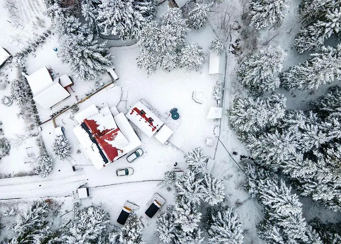 Camping Beczki Pod Lasem Trzemesnia