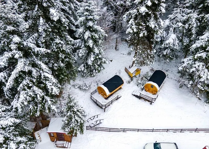 Beczki Pod Lasem * Trzemesnia