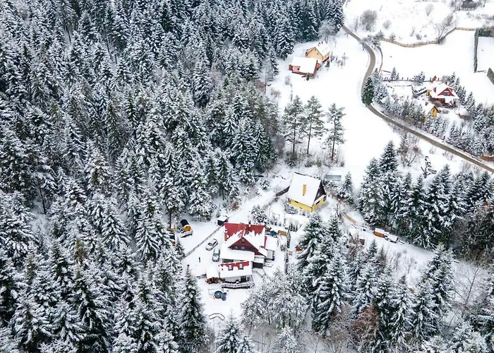 Camping Beczki Pod Lasem *