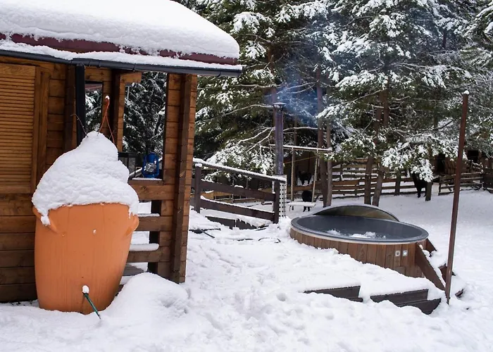 Camping Beczki Pod Lasem Trzemesnia