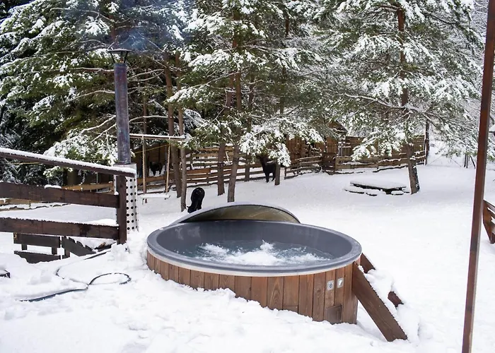 Camping Beczki Pod Lasem *