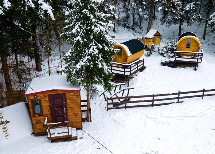 Beczki Pod Lasem * Trzemesnia