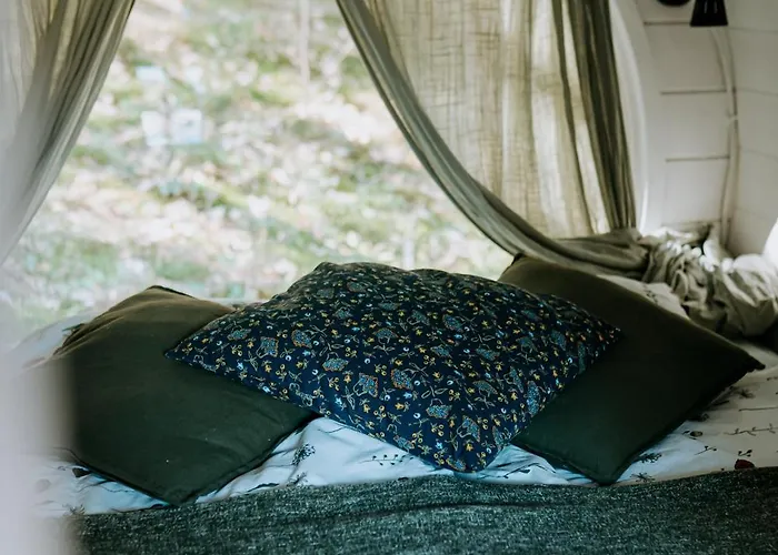 Beczki Pod Lasem Camping