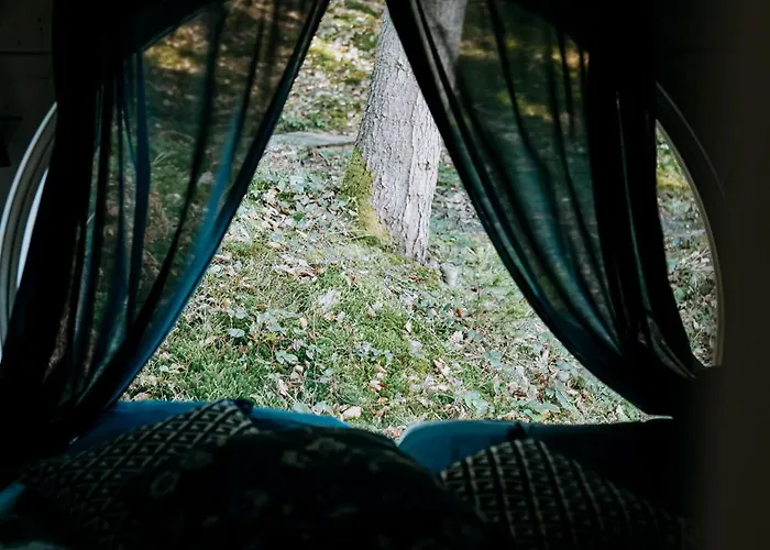 Beczki Pod Lasem Trzemesnia